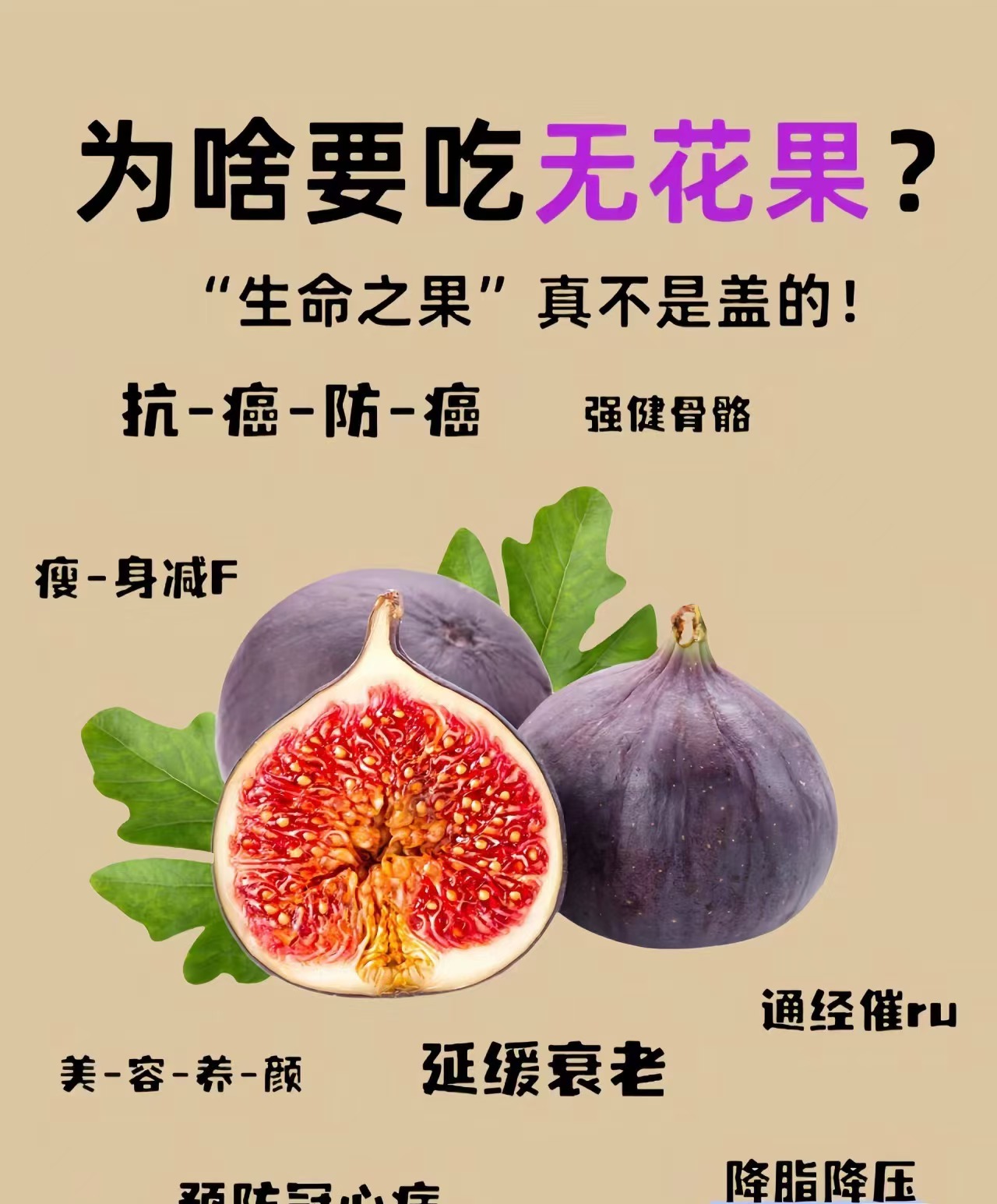 7b895053ed6e5fc0a354d43199e0545.jpg